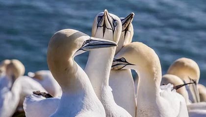 临沧最新公积金卡提取方法分析(最方便真实的临沧公积金卡提取后还可以继续使用吗方法)