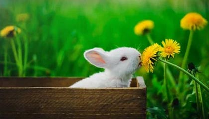 临沧最新公积金卡提取现金方法app方法分析(最方便真实的临沧公积金卡怎样从手机里取出来?方法)